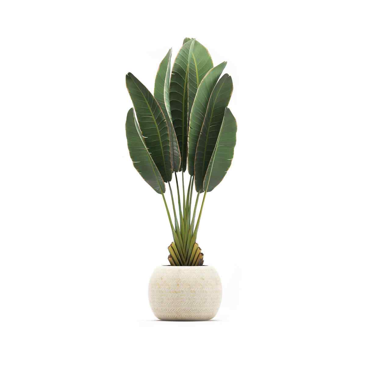 https://www.lomax-centrum.cz/wp-content/uploads/2018/09/product_06.jpg