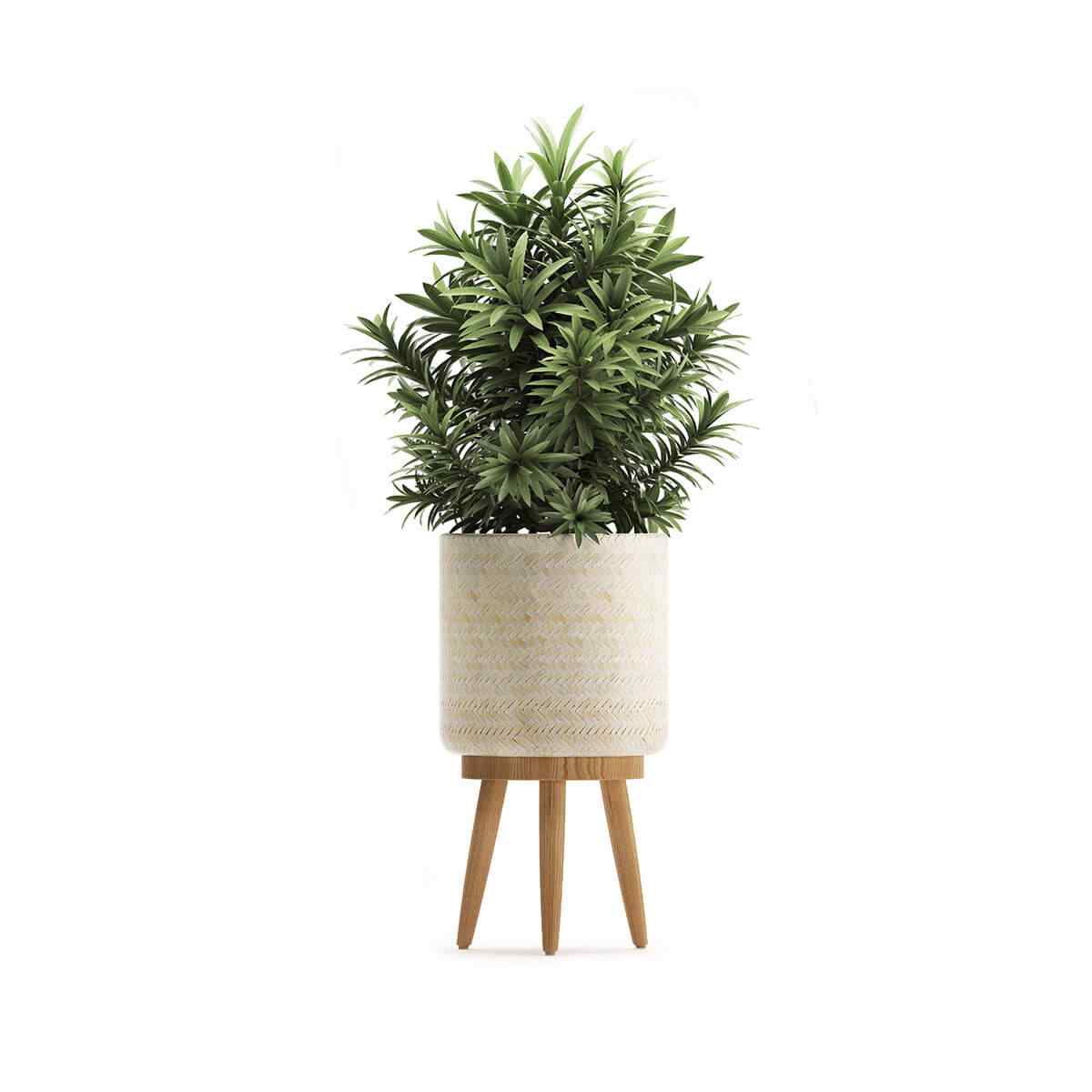 https://www.lomax-centrum.cz/wp-content/uploads/2018/09/product_07.jpg