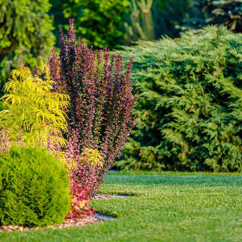 Upper Westside Green
Column 
